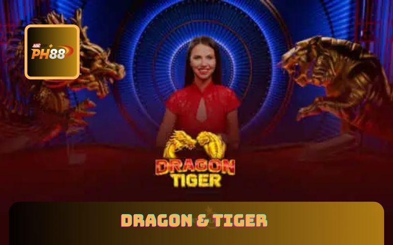 Dragon & Tiger - Secrets To Win Millions At Dragon Tiger