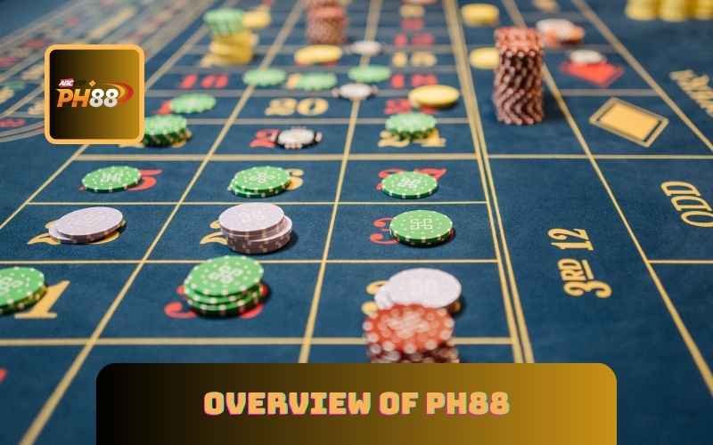 Overview of PH88 terms and conditions